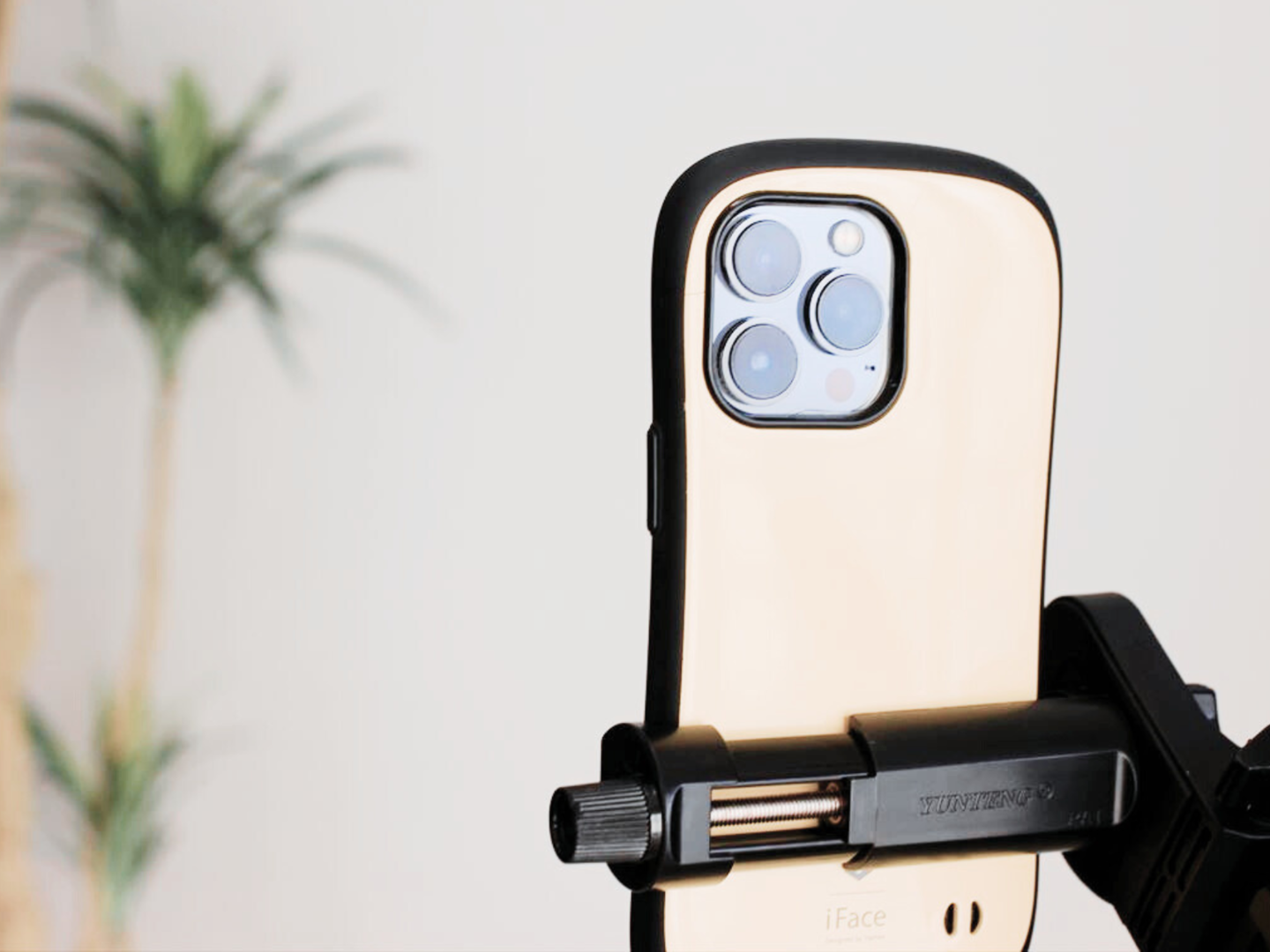 デジタルPRカードデラックスプラン